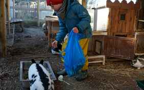 Bei der morgendlichen Fütterung wird viel gestreichelt und gekuschelt 